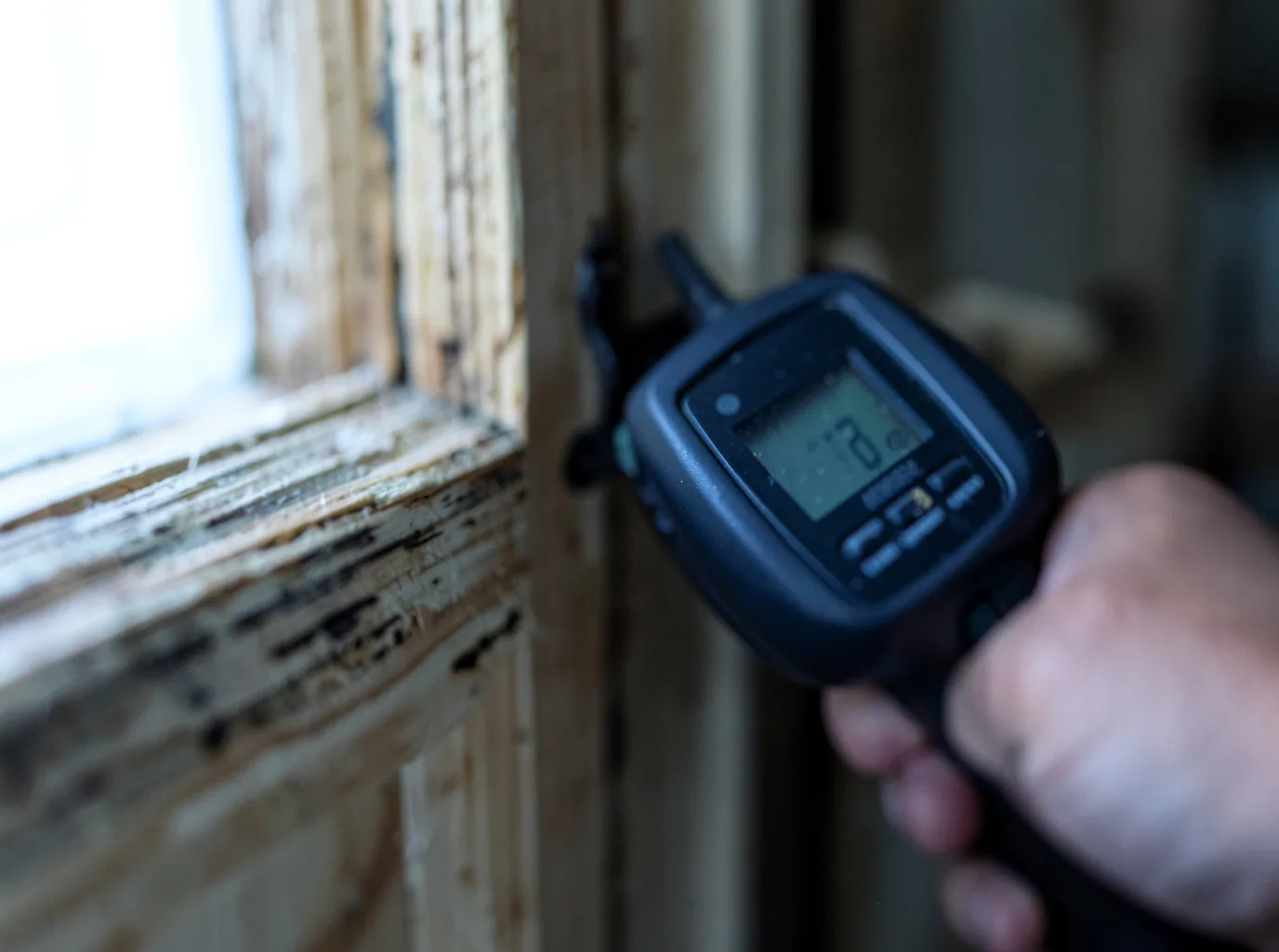 Moisture Inspection And Documentation in Snowshoe, WV